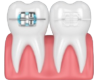 image_309-removebg-preview 1